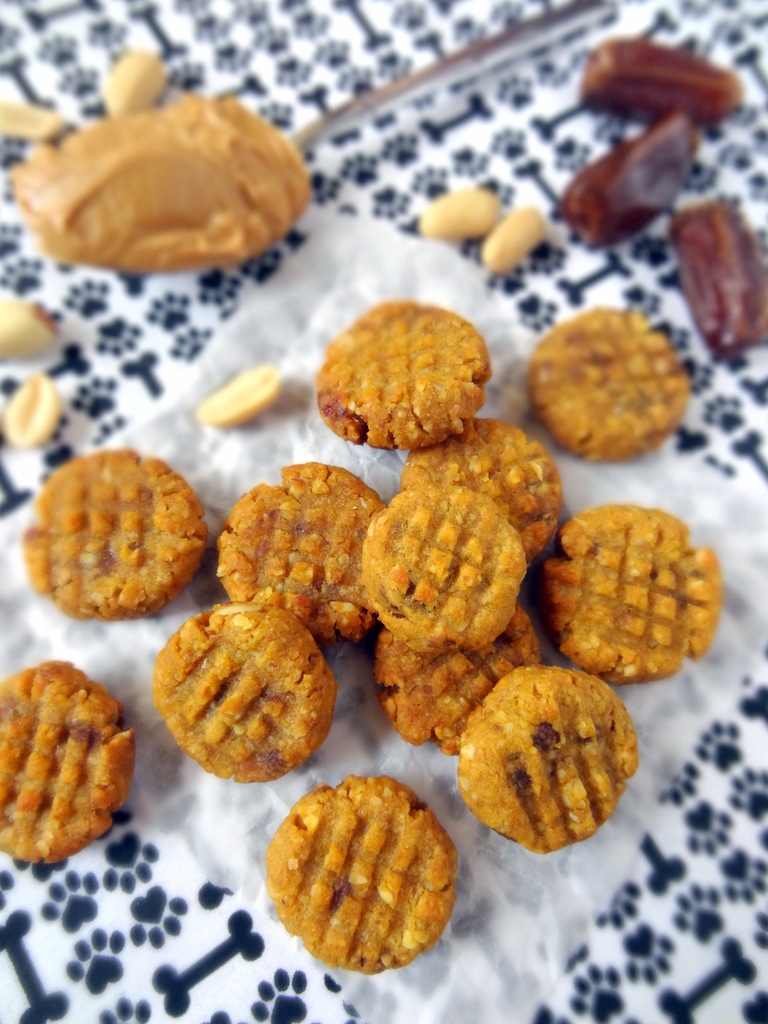 Peanut Butter Pumpkin Cookies for Dogs