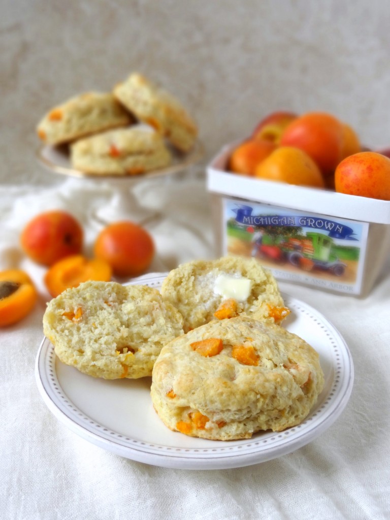 fresh apricot and ginger scones