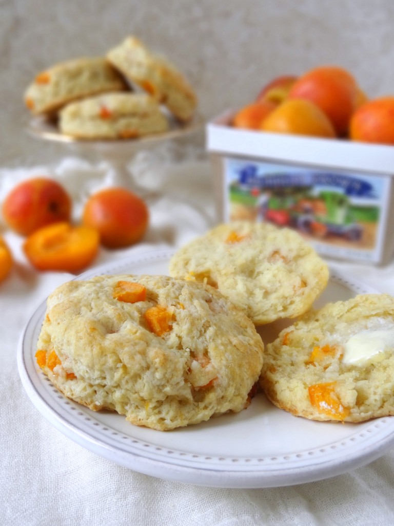 fresh apricot and ginger scones