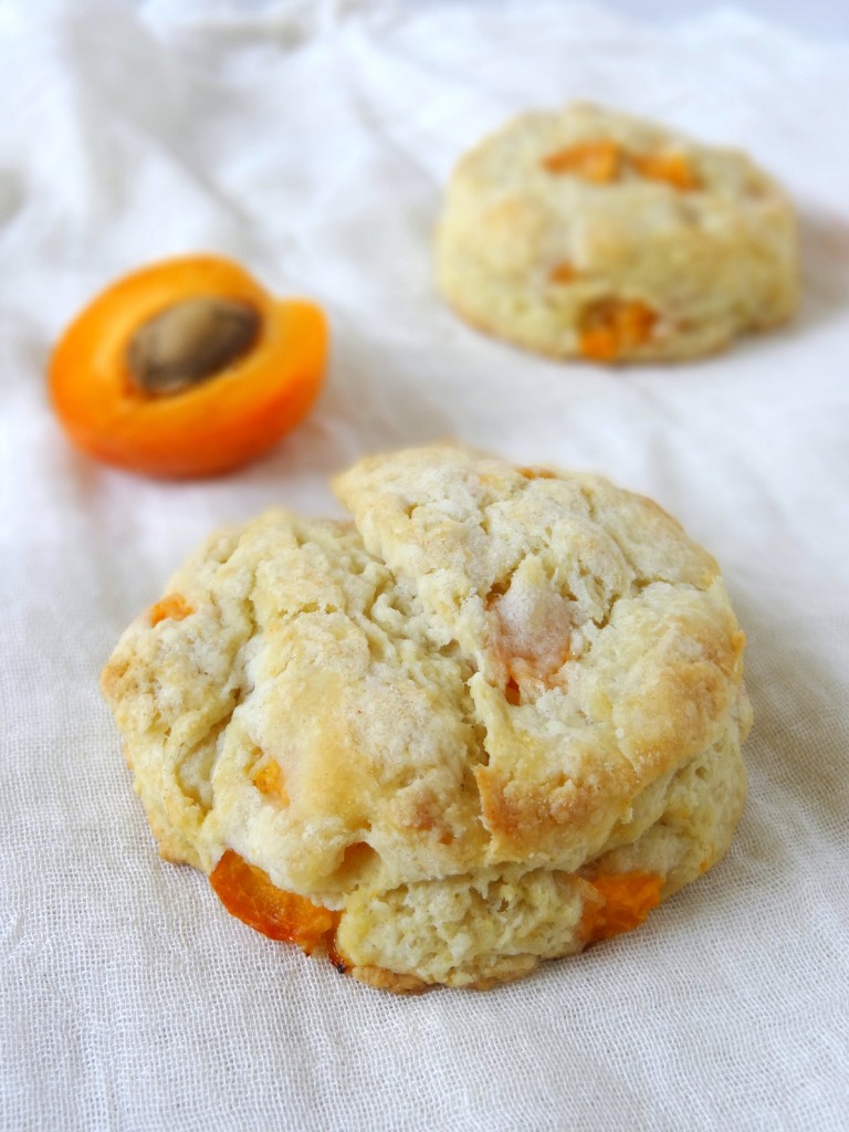 fresh apricot and ginger scones