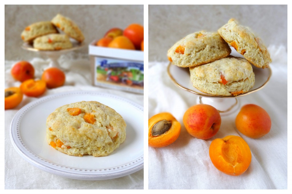 fresh apricot and ginger scones