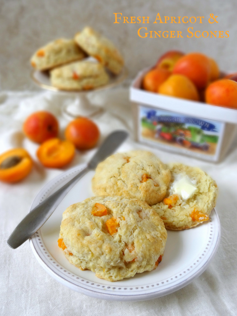 fresh apricot and ginger scones