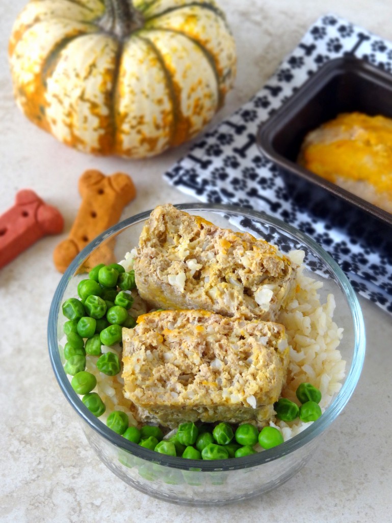 dog-friendly turkey pumpkin meatloaf