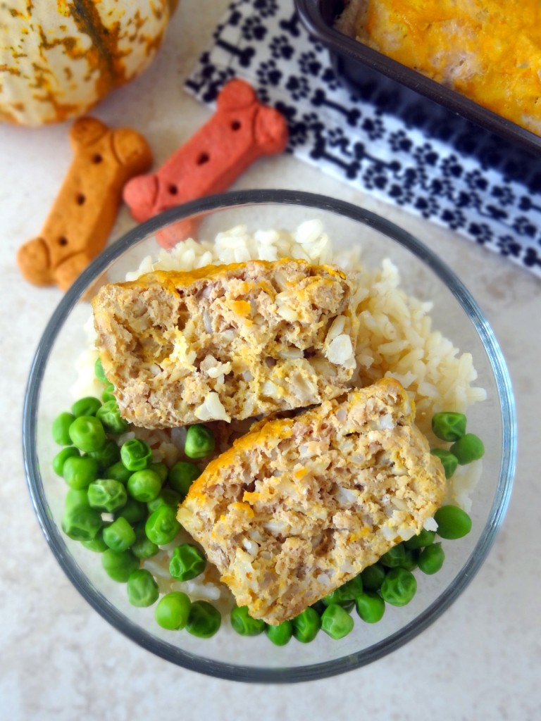 dog-friendly turkey pumpkin meatloaf