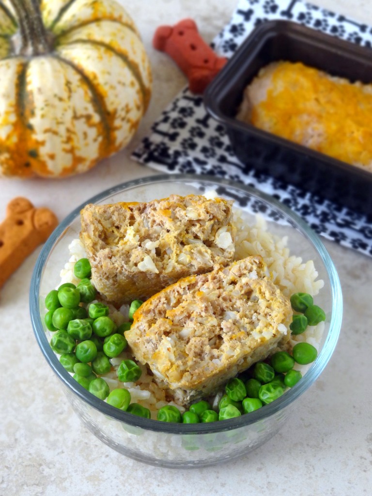 dog-friendly turkey pumpkin meatloaf