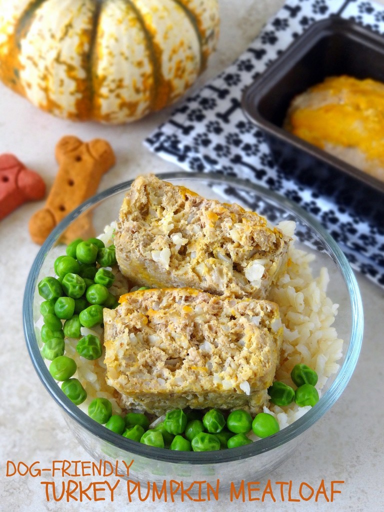 dog-friendly turkey pumpkin meatloaf