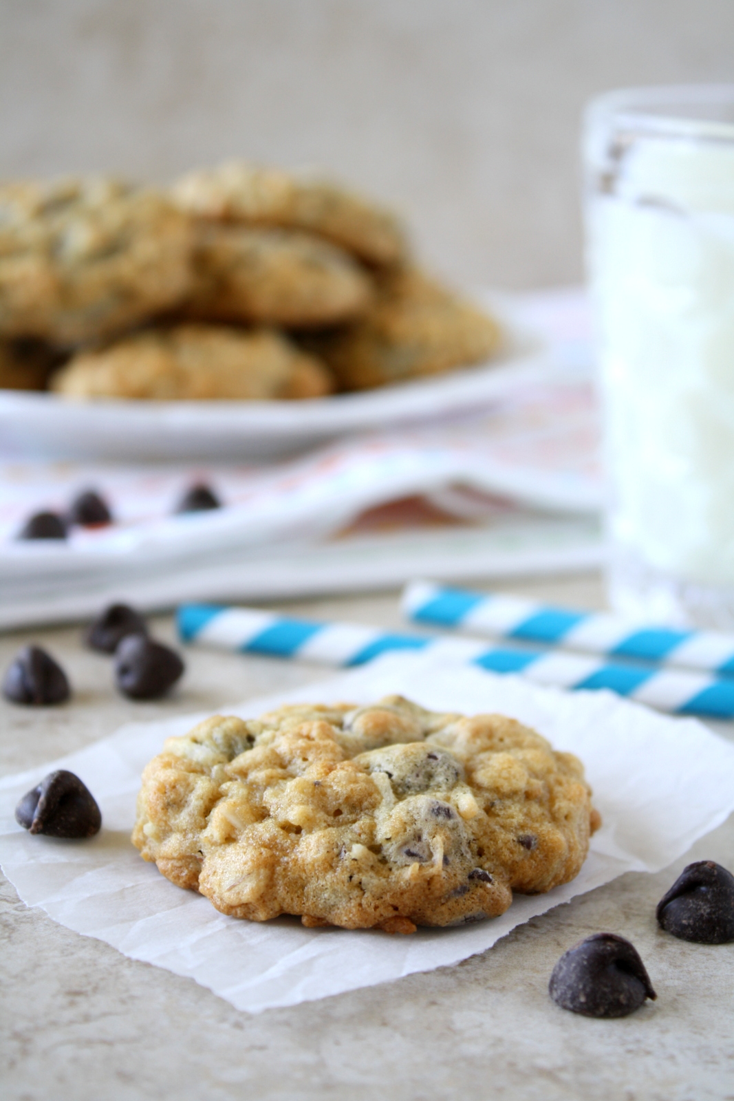 chocolate chip coconut oatmeal cookies