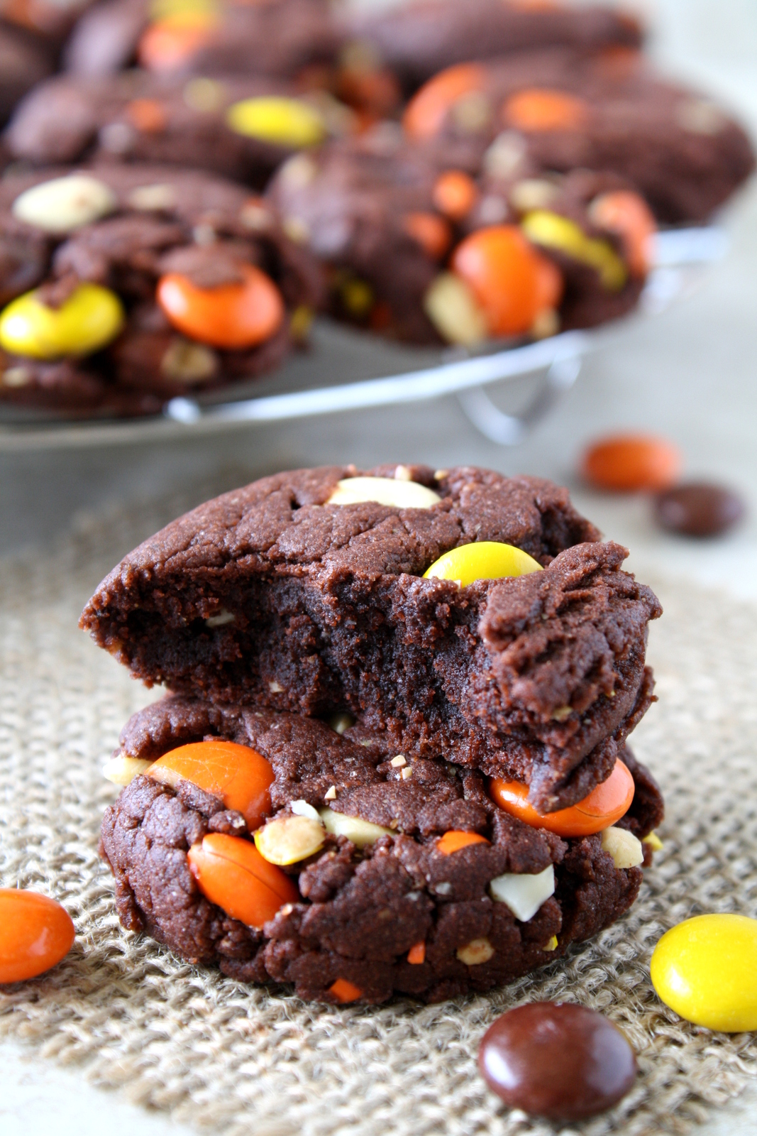 chocolate peanut butter pudding cookies