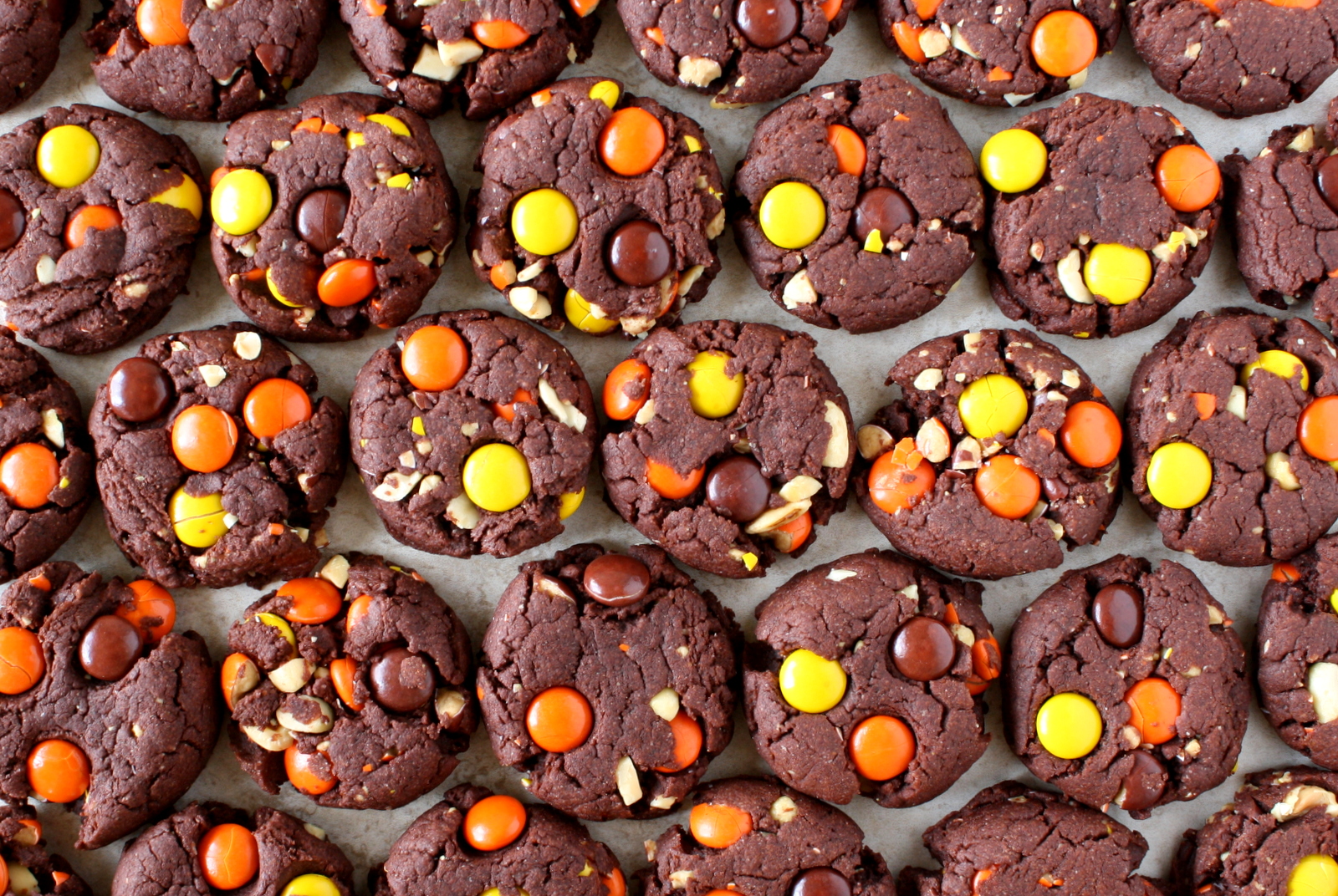 chocolate peanut butter pudding cookies