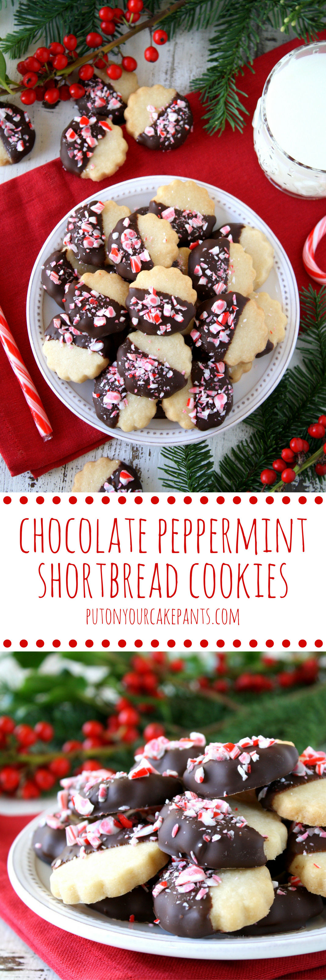 chocolate peppermint shortbread cookies